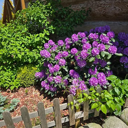 Osada Sprzycka 롯지